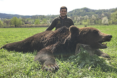 cazar oso pardo rumania