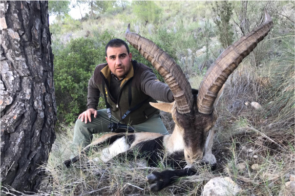 Jagd Südost Spanischen Ibex