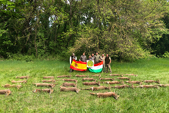 Jagd in Ungarn