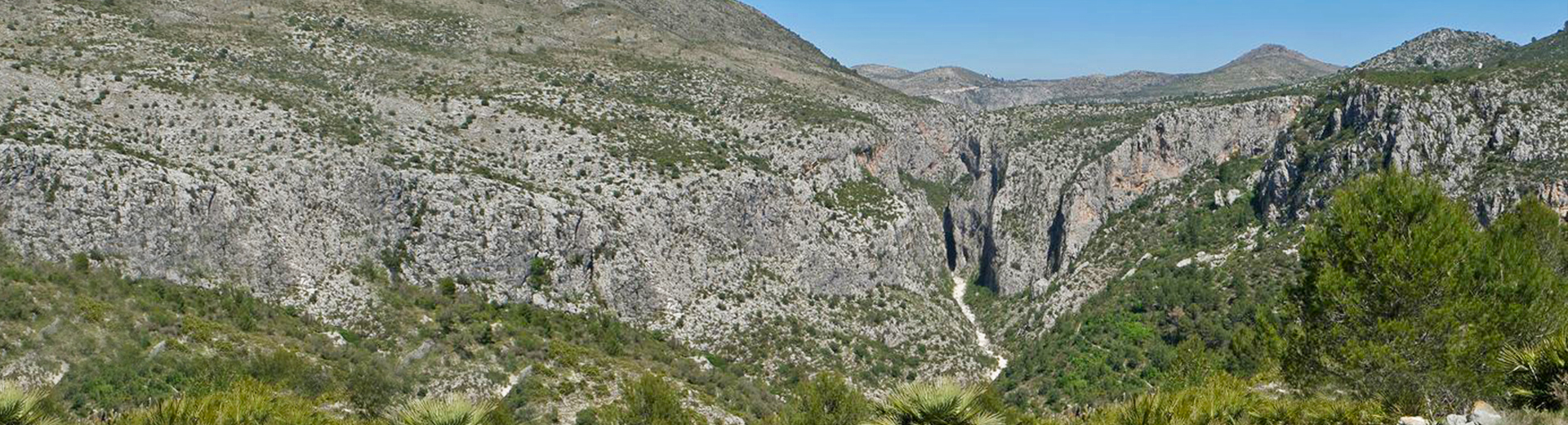 Aoudad Sheep Hunting in Spain, Alicante, field hunting Aoudad Sheep Alicante Aoudad Sheep Hunting in Spain, Alicante, field hunting Aoudad Sheep Alicante