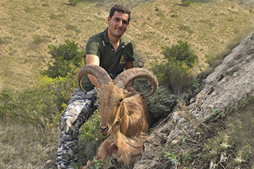 Barbary Sheep Hunting in Spain, Murcia