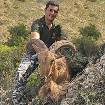 Barbary Sheep Hunting in Spain, Murcia