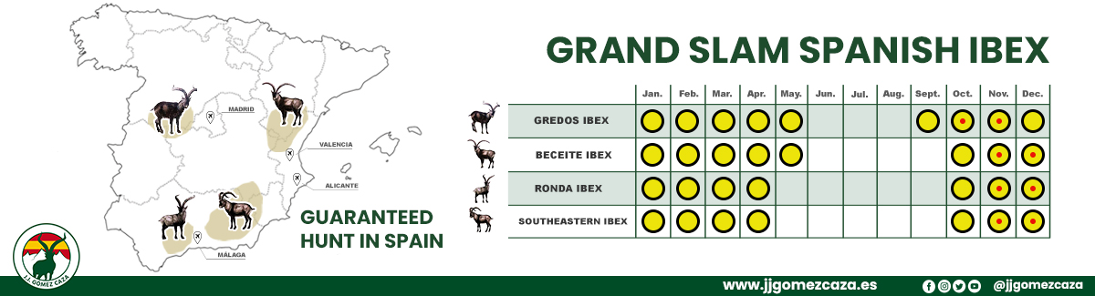 GRAND SLAM SPANISH IBEX, Spanish Ibex Grand Slam, hunt Grand Slam Spanish Ibex, Ovis Grand Slam Spain, SCI Spanish Grand Slam
