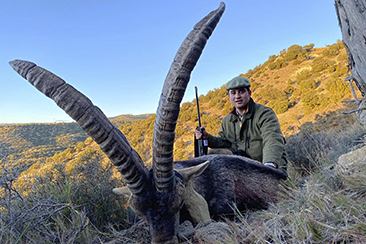 Beceite Ibex Hunting in Spain