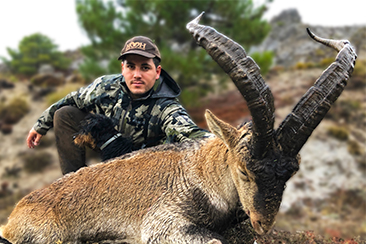 Southeastern Ibex hunting Spain, Sierra Nevada Ibex hunting Spain, Sierra Nevada Ibex hunt, Southeastern Spanish Ibex hunt, hunting Southeaster Ibex, Hunting Sierra Nevada Ibex