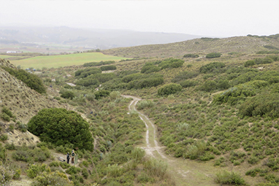 Hunting shooting Partridge in Spain, field