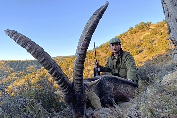 Beceite ibex hunting in spain
