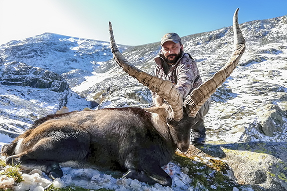 Hunting Gredos Ibex Spain