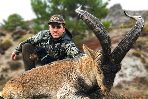 Southeastern ibex hunting spain