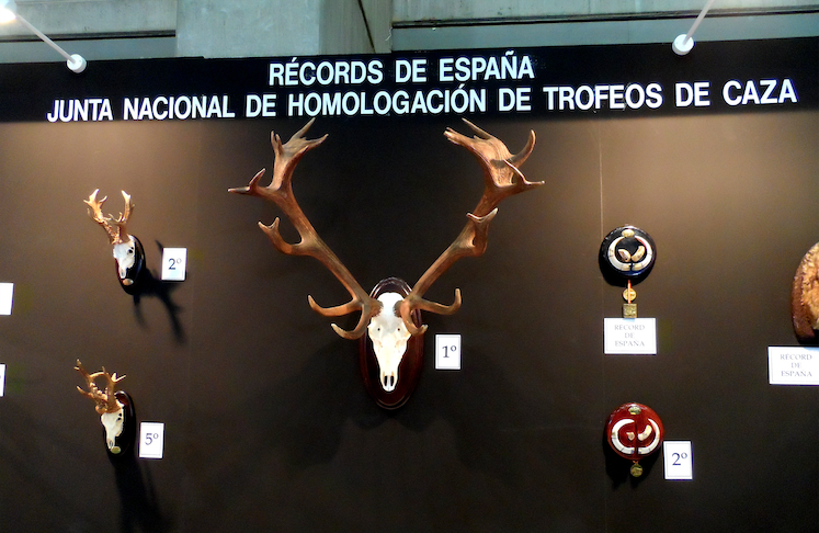 Homologación de trofeos de caza. Medición de trofeos de caza.