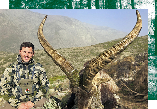 Ibex hunting in Spain Gredos, spanish ibex hunt, ibex hunt Spain, ibex hunting in Spain