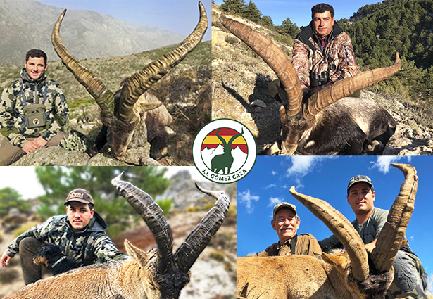 Grand Slam Spanish Ibex, hunting Grand Slam Spanish Ibex, Grand Slam Ibex Spain, hunt Grand Slam ibex Spain