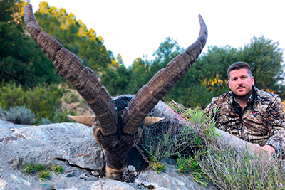 Sierra Nevada ibex hunt Spain, economic ibex hunt Spain, hunting ibex Sierra Nevada Spain, economic cheap ibex hunt Spain, Professional hunting ibex Spain, company hunting ibex Spain, jagd Spanien steinbock, oxota, caccia Spanien, ibex hunt Spain, Professional ibex hunting Spain, blaser safaris, toquero hunting, ibex zone, iberhunting ibex Spain, Spanien Steinbock