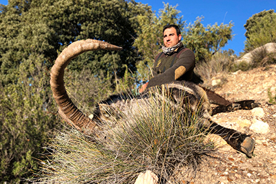 hunting in Spain, ibex hunt Spain, spanish ibex sierra nevada, spanish ibex southeastern, hunting ibex Spain, ibex zone Spain, cheap hunting ibex Spain, Sierra Nevada Hunting ibex, spain hunting ibex, blaser safaris hunting Spain, fouribexhunt, iberhunting ibex Spain, grand Slam spanish ibex, caccia, oxota, jagd Spanien