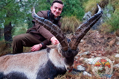 hunting in Spain, ibex hunt Spain, spanish ibex sierra nevada, spanish ibex southeastern, hunting ibex Spain, ibex zone Spain, cheap hunting ibex Spain, Sierra Nevada Hunting ibex, spain hunting ibex, salvaforte safari club international, salvaforte hunting Spain, toquero hunting ibex, navasques hunting Spain, corsini ibex hunt Spain