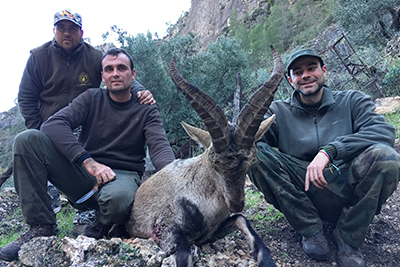 selective Spanish ibex hunt, selective Spanish ibex hunting, corju hunting, cazaplaneta hunting ibex spain, spanishibexhunts, spain hunting packages